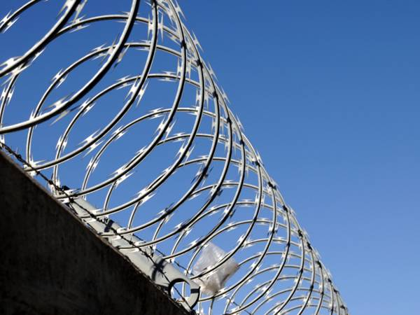 Concertina Razor Wire