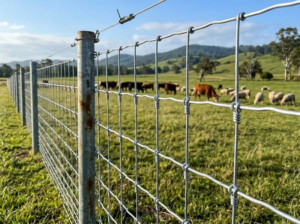 Fixed Knot Mesh Fence