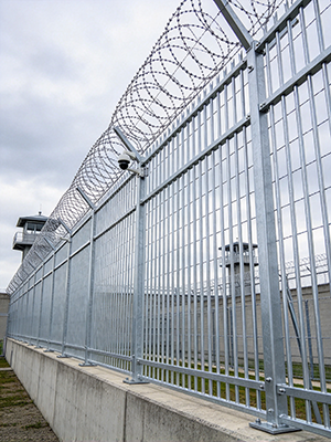 SECURITY FENCE 1